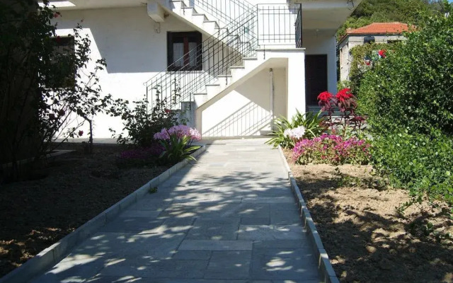 Zmas Studio