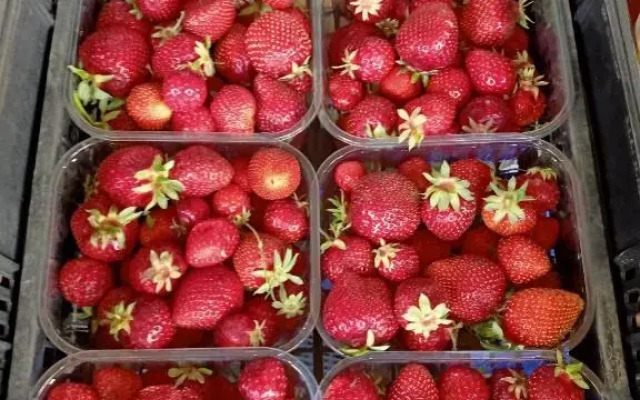 Agriturismo Il Cipresso