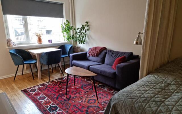 Majorstuen studio apartment