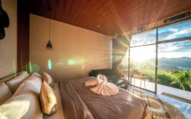 The Jungle Sunrise