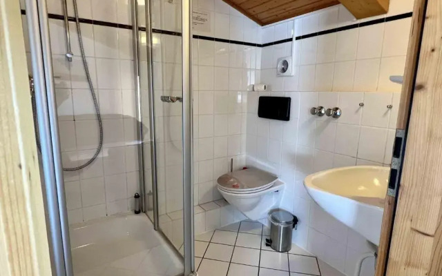 Hagelstein IV "Feuerstein"