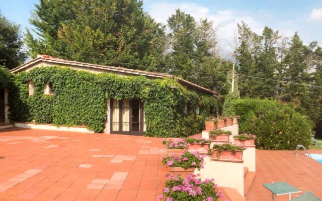 Bardeggiano - Caterina 4 (COL247)