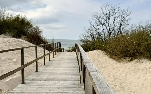 На первой береговой линии