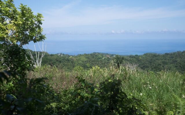 The Lion House Jamaica