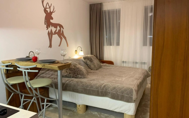 Bansko Ski To Door Studio De Luxe