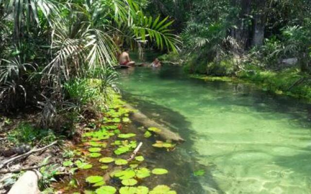 Guaraná da Cláudia