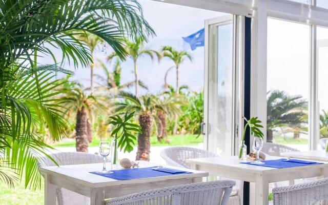 Windy Earth SILENT CLUB