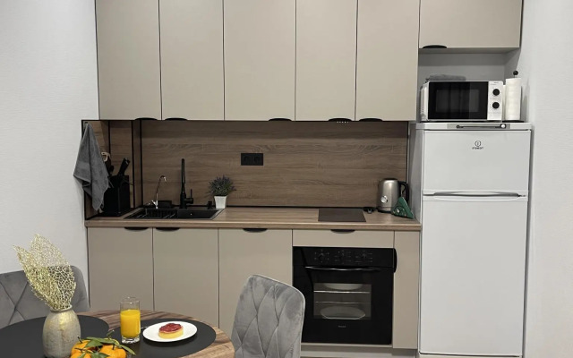 Апартаменты на проспекте Большой Сампсониевский 70/3