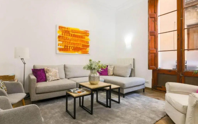 Great Spacious Apartment in the Gothic District City Center