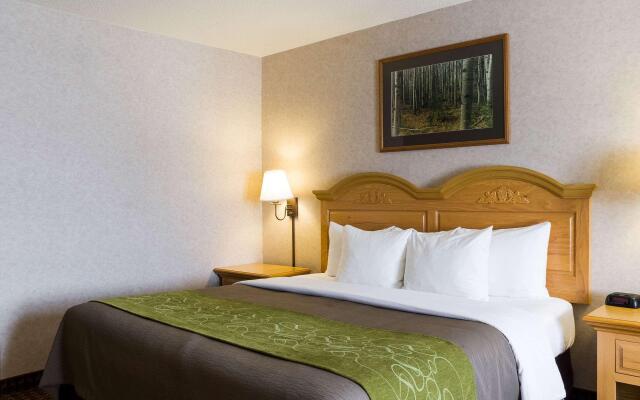 Comfort Inn And Suites Custer