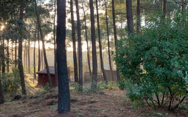 Agreable T2 Lisiere du Golf Lacanau Ocean