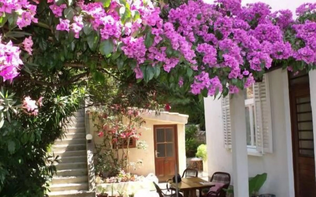 Plavi Žal Apartment