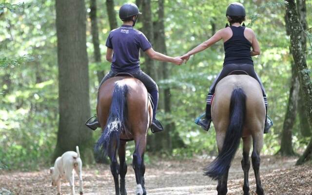 Gîte de L'ecurie la Fourasse