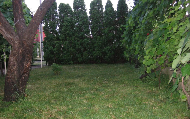 Kuća za odmor Jelena