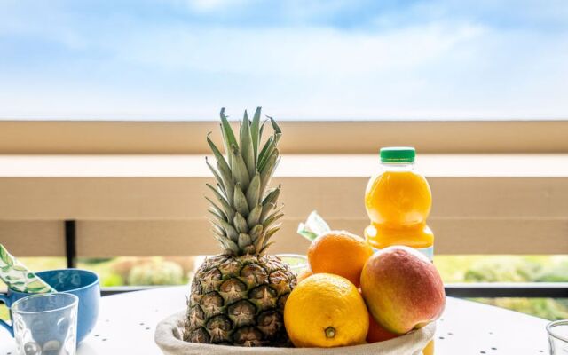 Les Terrasses du Levant 40849