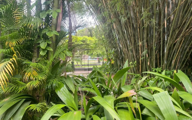Rio Natureza apart 105