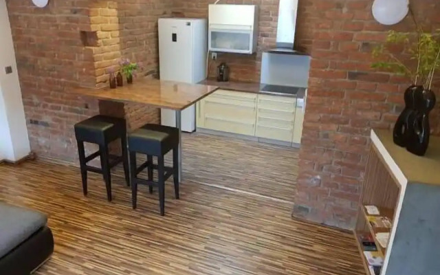Old Town Apartment Spilberk