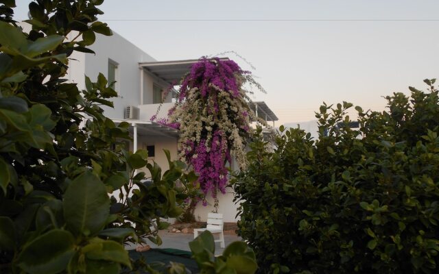 Dahlia Apartments and Studios