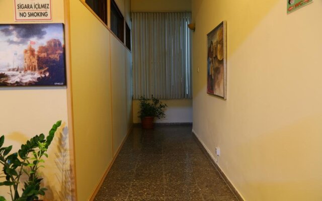 Altun Tabya Vintage