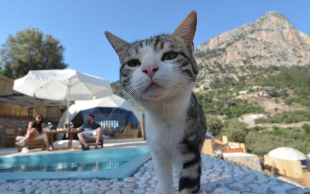 Kabak Freedom Deluxe Hotel