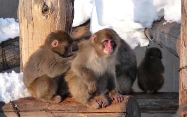 Hotel Crescent Asahikawa