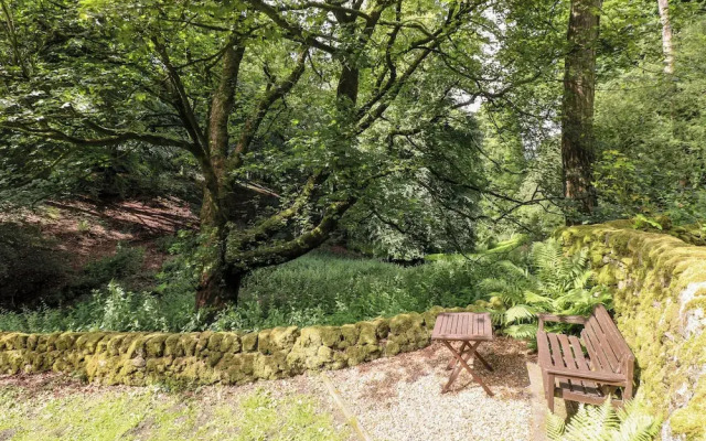 The Dell