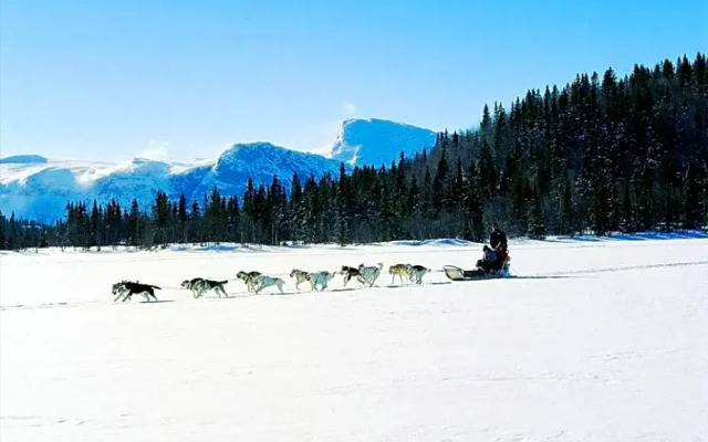 Fresh Familie Hytte Hemsedal