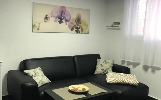 Cozy modern apartment near the sea in city center