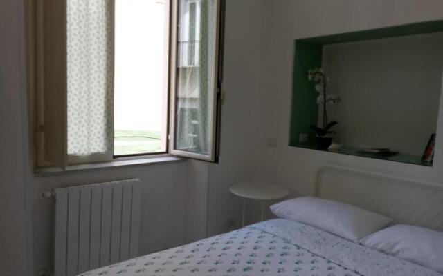 Magic Napoli Green