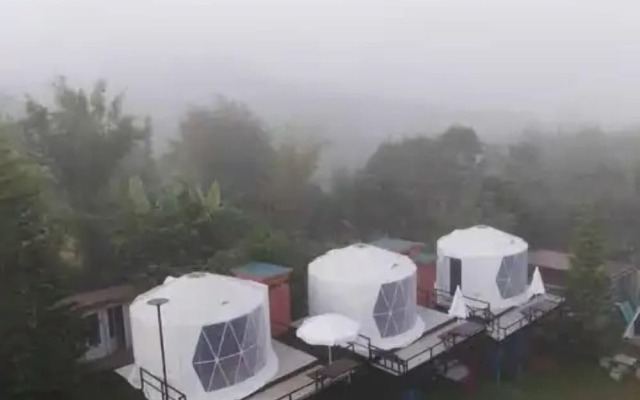 Yellowstone Cheewa View