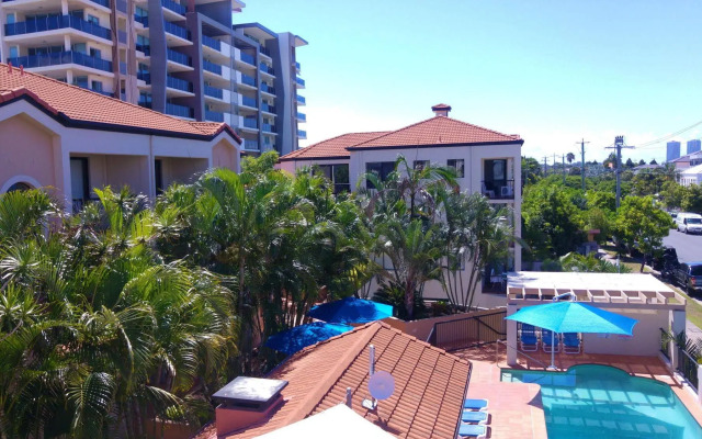Chevron Palms