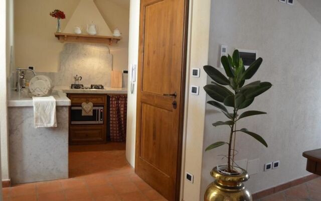 Agriturismo del Pigato - Bio Vio