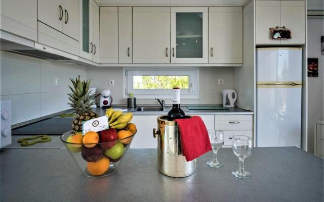 Xenos Villa 1 With Private Swimming Pool Near The Sea