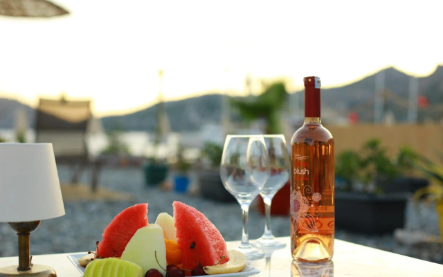 Tiny House Echino söğüt