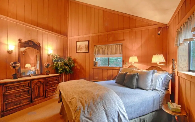 The Bernstein Bear Cabin