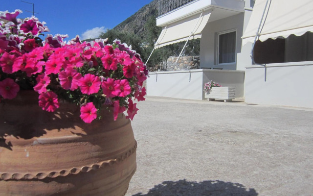 Blue Yard Apartments