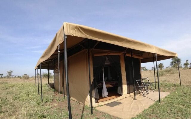 Serengeti Wildebeest Camp