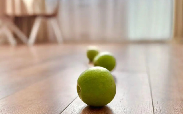 Счастливая матрешка на проспекте Ломоносова 259