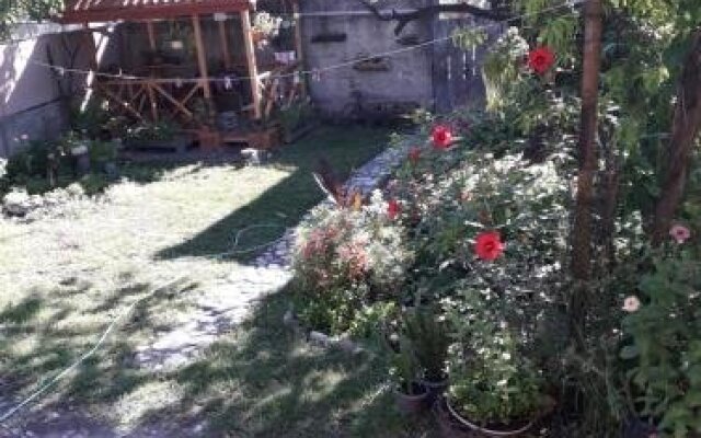 Hostel Kakheti