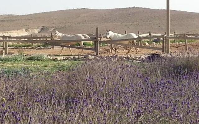Matnat Desert Farm