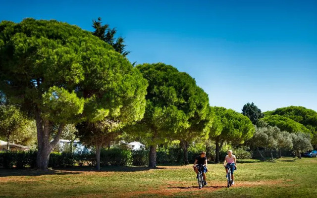 Amarin Campsite Glamping