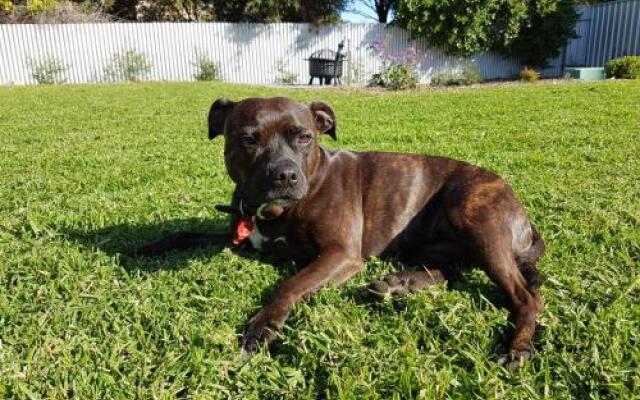 Great Ness Beachhouse - WiFi - Pet-Friendly