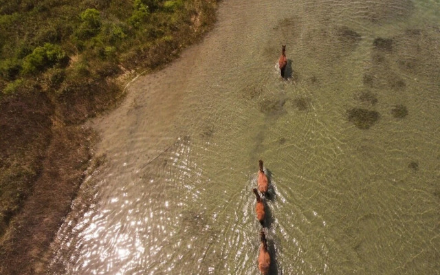 Mi Faro 2 Bedroom Duplex by RedAwning