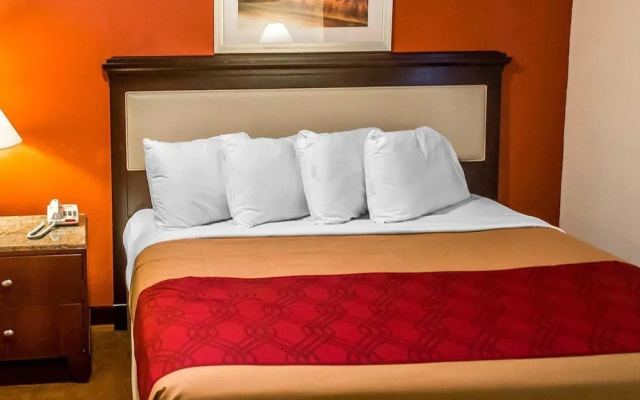 Econo Lodge Inn & Suites - фото 2