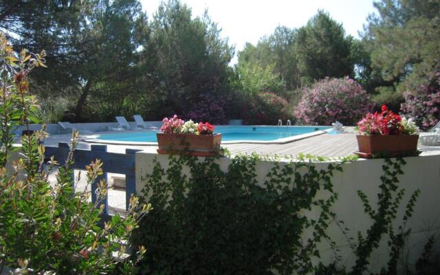 Manade Cavallini - Mas de Pioch