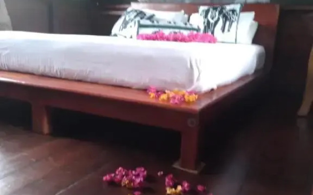 Dambulla Tree House