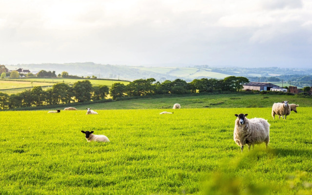 Union Road Moto Velo