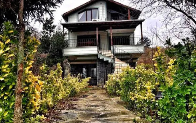 Vira Creek House