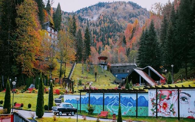 Sairme Hotels & Resorts