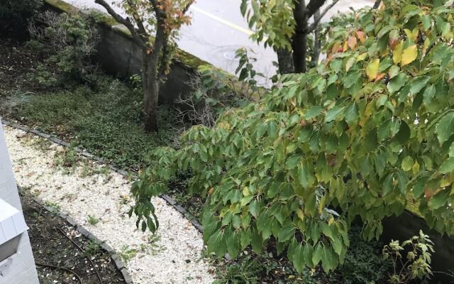 Cohasset Harbor Resort